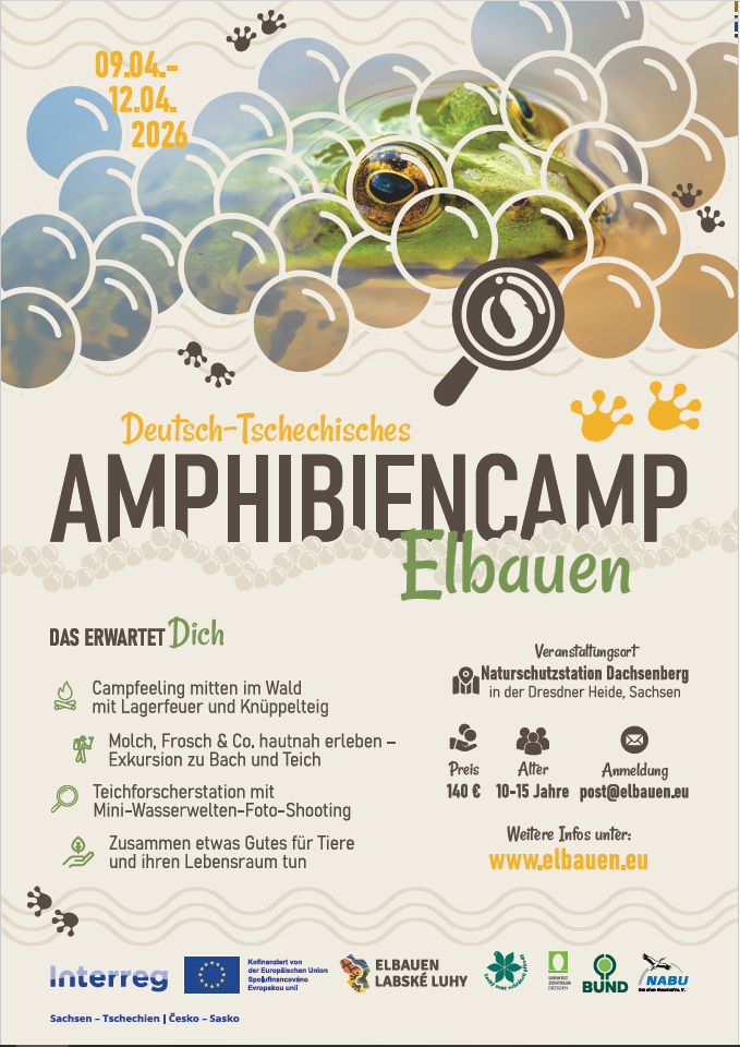 Amphibiencamp2026