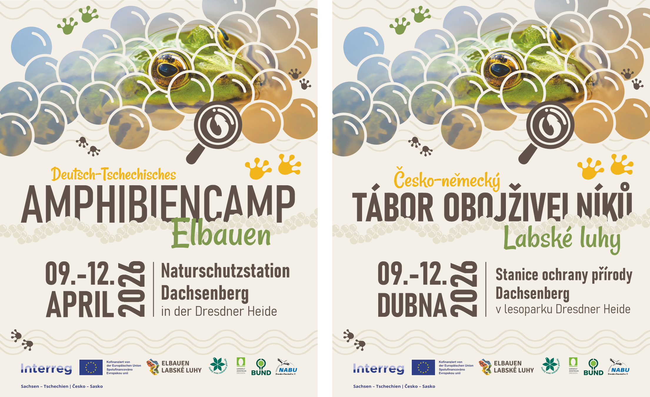 Amphibiencamp Sharepic de_cz