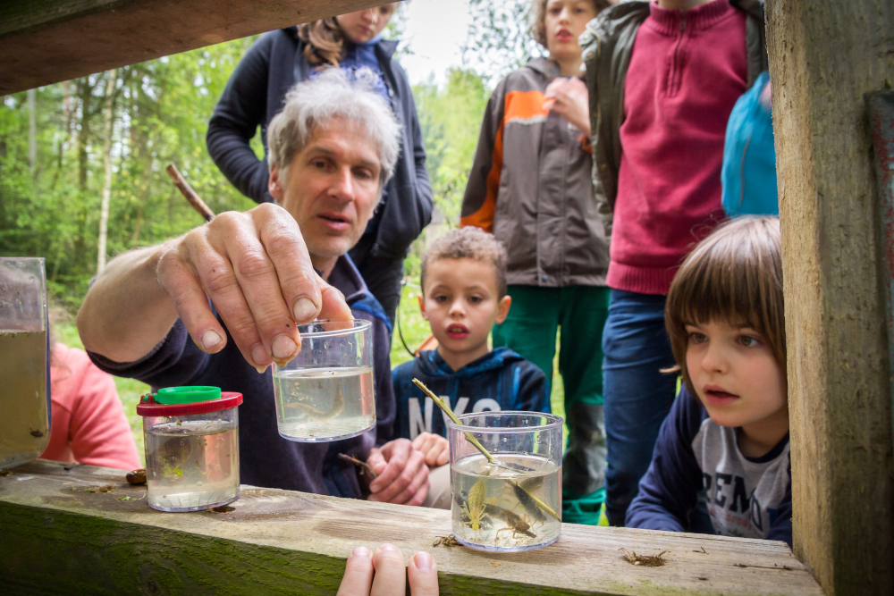 2017 - Amphibiencamp