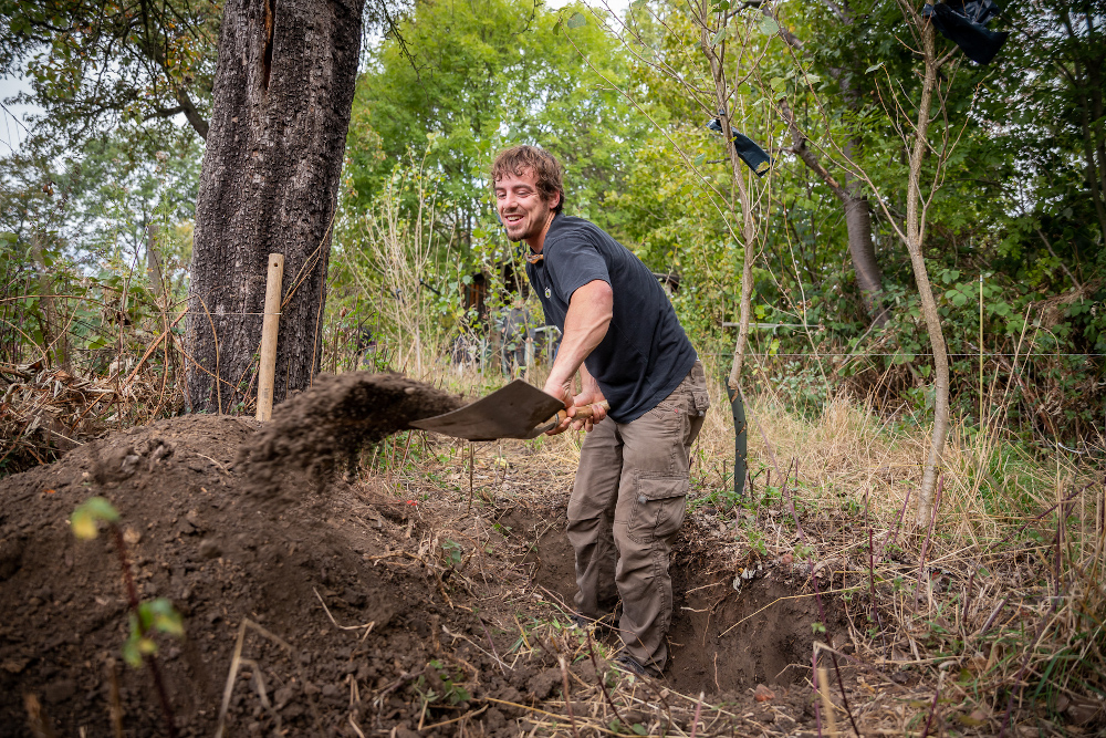 2019 - Schwarzpappelpflanzung