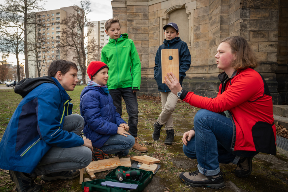 2019 - Nistkästen bauen